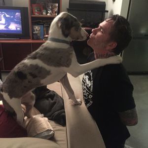 Meet your Posher, Kevin